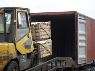 Container loading and unloading